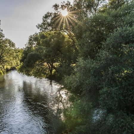Ferienwohnung Jobst - Ruhig Mit Blick Ins Gruene Nittenau Exteriér fotografie
