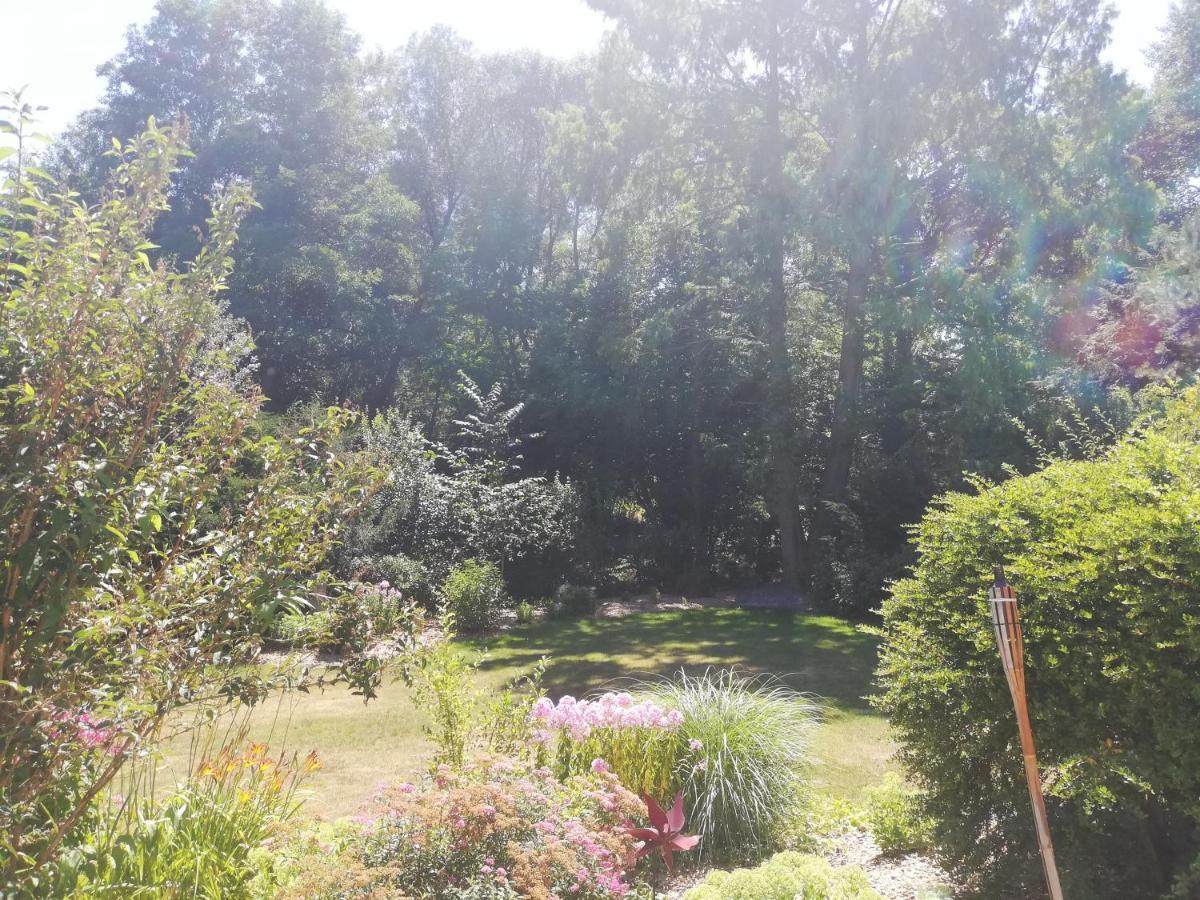 Ferienwohnung Jobst - Ruhig Mit Blick Ins Gruene Nittenau Exteriér fotografie