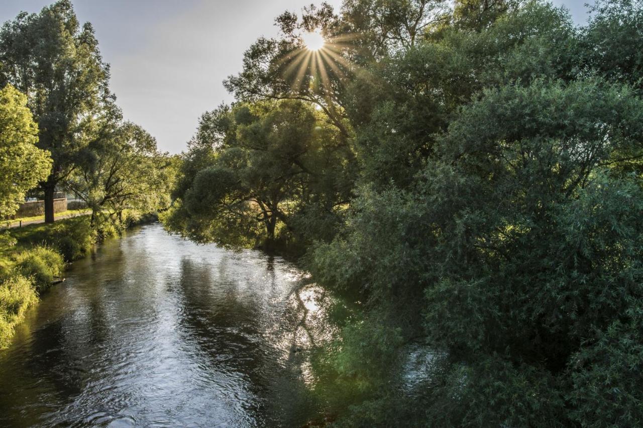 Ferienwohnung Jobst - Ruhig Mit Blick Ins Gruene Nittenau Exteriér fotografie